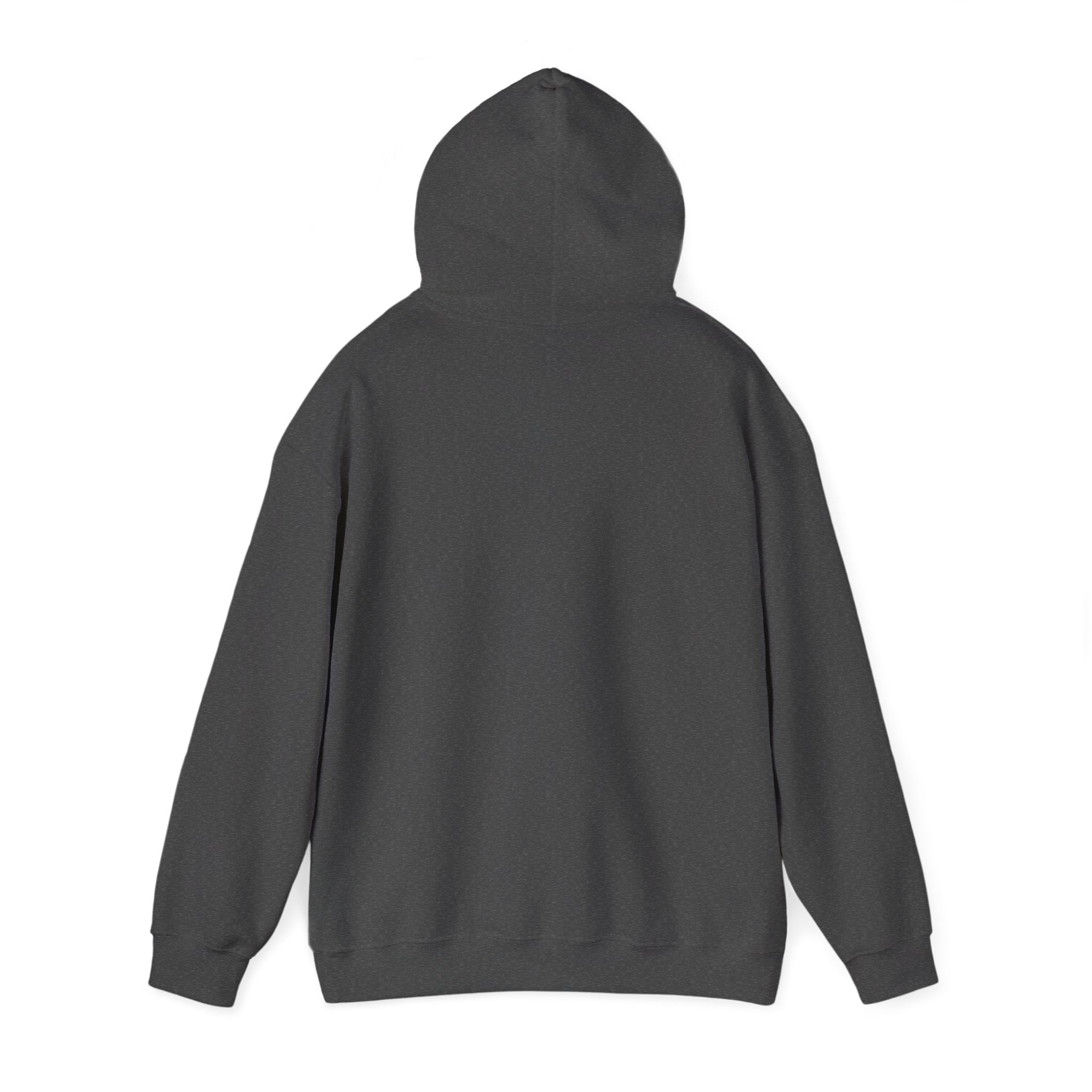 Adelaide Graffiti Hoodie — Urban Street Art Pullover