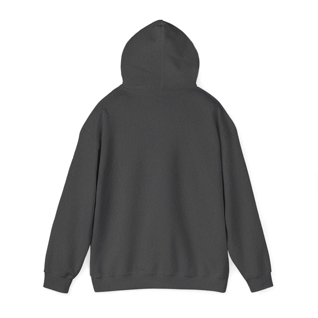 Street Style City Hoodie — Urban Graphic Hoody
